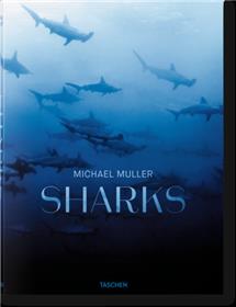 Mickael Muller. Sharks (GB)